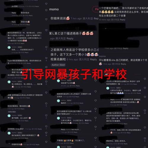 爆料华裔兄弟视频播放网站,热门爆料背后的故事  第3张